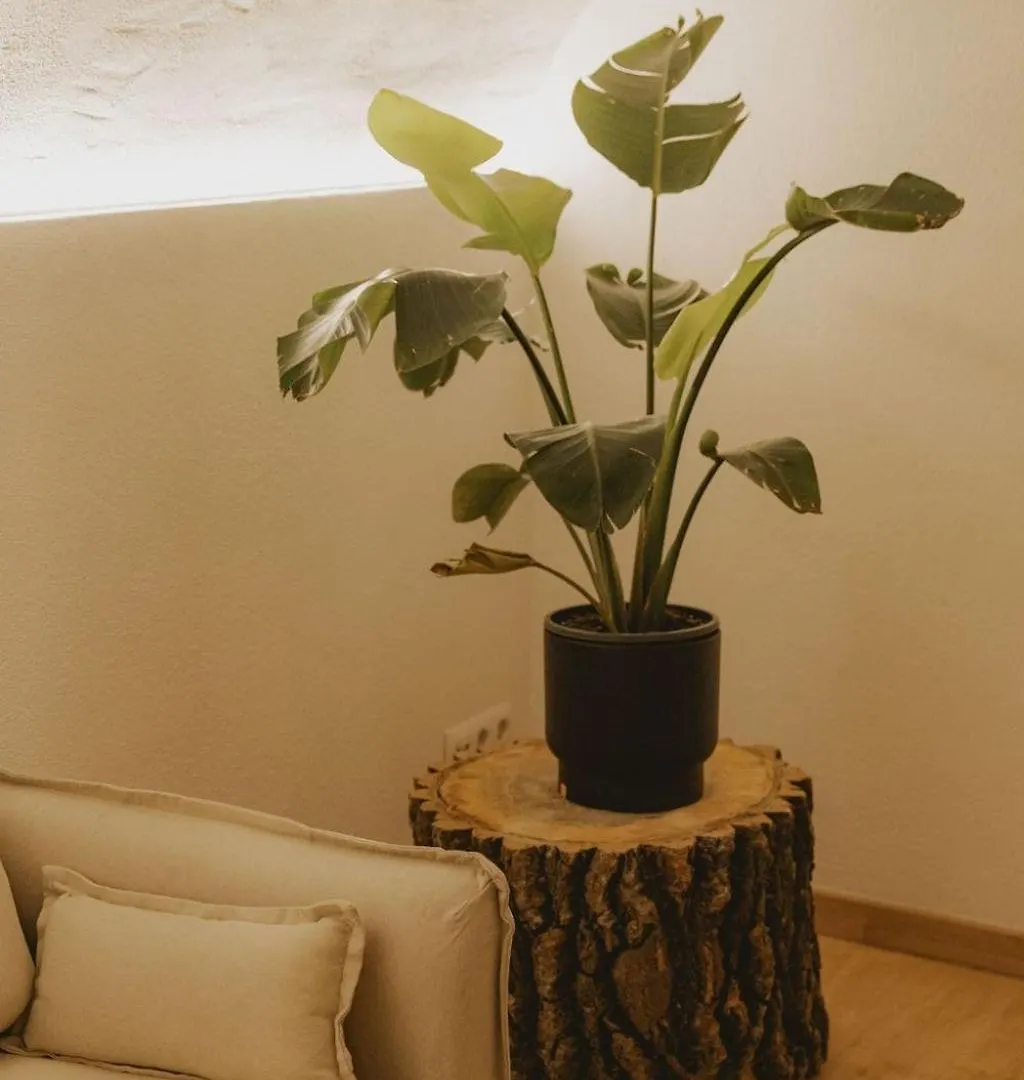 Casa Llimona By Lohodihomes Sant Jordi Desvalls